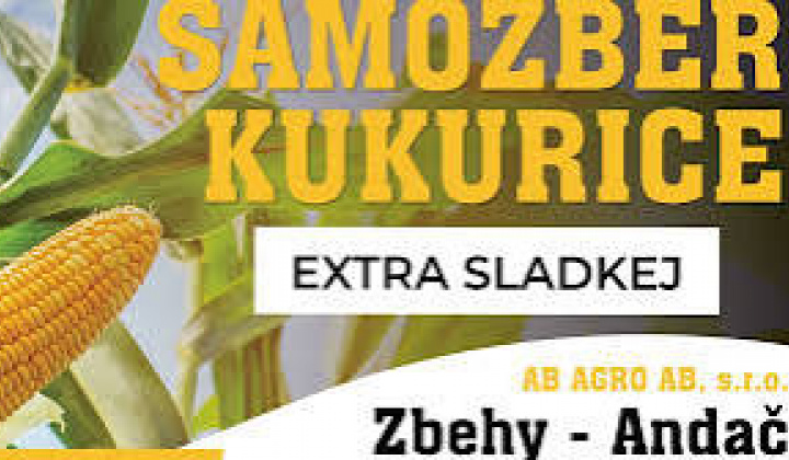 Fotka - Samozber lahôdkovej kukurice